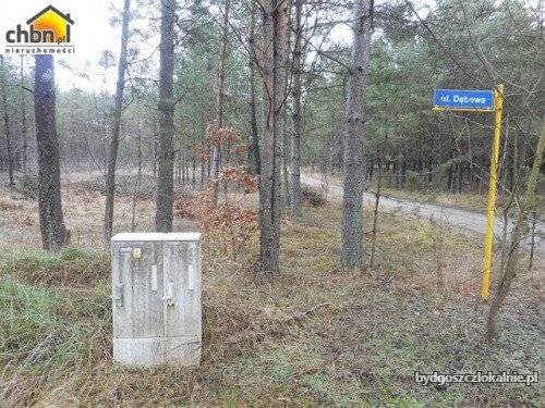 dzialka-budowlana-blisko-rzeki-wojtal-59046-bydgoszcz-foto.jpg