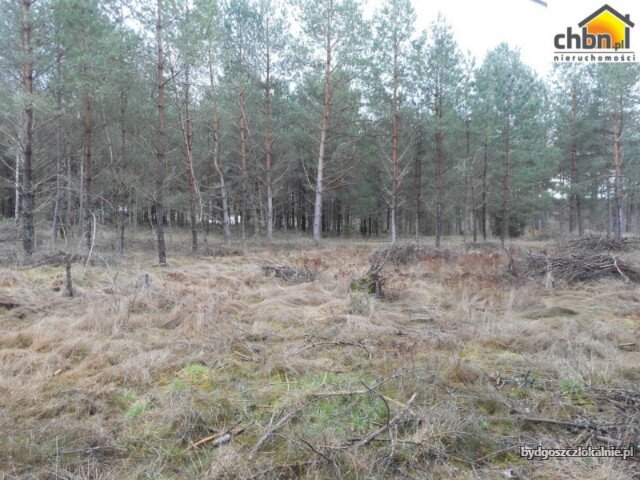 dzialka-budowlana-blisko-rzeki-wojtal-59046-bydgoszcz.jpg