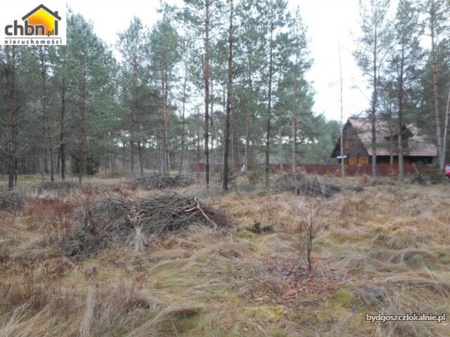 dzialka-budowlana-blisko-rzeki-wojtal-59046-dzialki-i-grunty.jpg