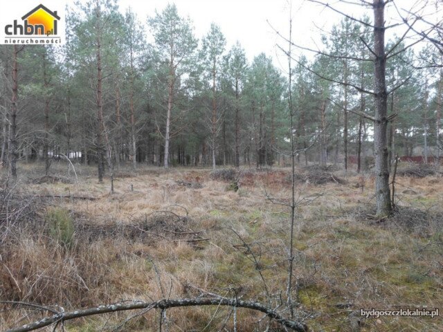 dzialka-budowlana-blisko-rzeki-wojtal-59046-sprzedam.jpg