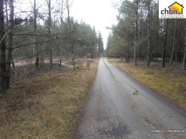 dzialka-budowlana-blisko-rzeki-wojtal-59046-zdjecia.jpg