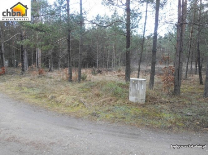 dzialka-budowlana-blisko-rzeki-wojtal-59046.jpg