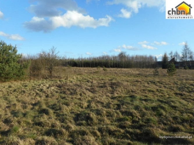 urocza-dzialka-123-ha-w-bedzmierowicach-59050-bydgoszcz-na-sprzedaz.jpg