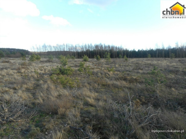 urocza-dzialka-123-ha-w-bedzmierowicach-59050-bydgoszcz.jpg