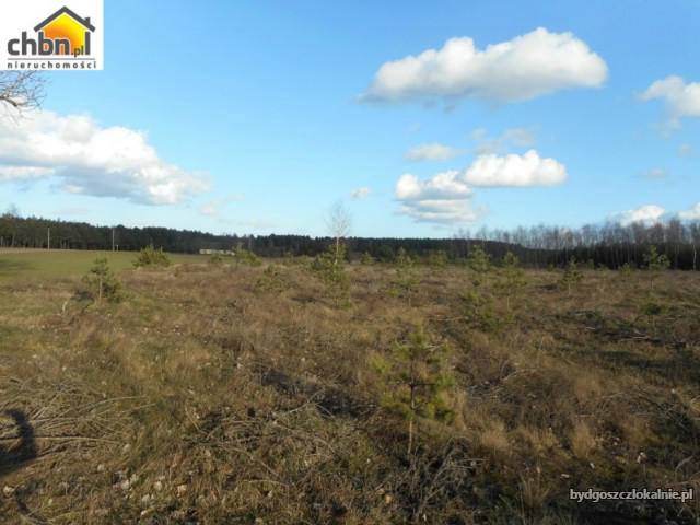 urocza-dzialka-123-ha-w-bedzmierowicach-59050-sprzedam.jpg