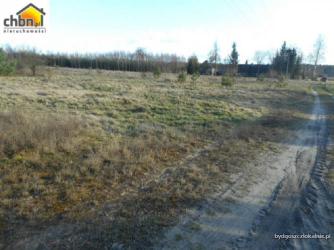 urocza-dzialka-123-ha-w-bedzmierowicach-59050.jpg