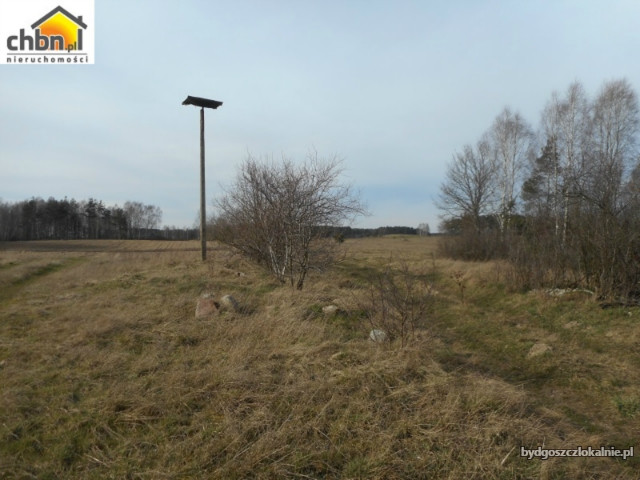dzialki-budowlane-niedaleko-borska-59051-zdjecia.jpg