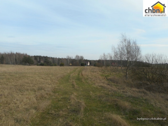 dzialki-budowlane-niedaleko-borska-59051.jpg