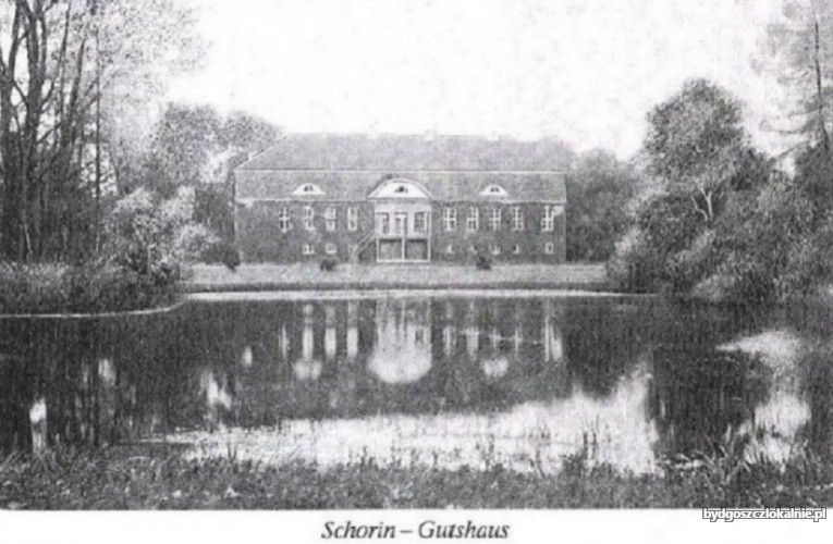 nieruchomosc-z-dusza-zabytkowy-palac-skorzyno-59057-bydgoszcz-foto.jpg