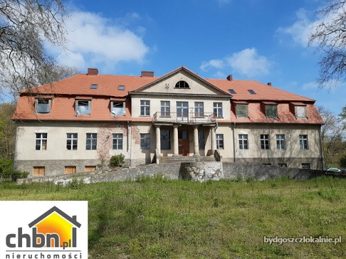 nieruchomosc-z-dusza-zabytkowy-palac-skorzyno-59057-bydgoszcz.jpg