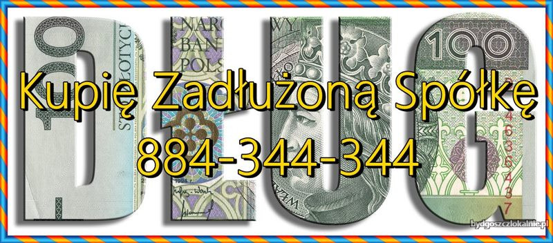 sprzedaj-nam-zadluzona-spolke-ochrona-zarzadu-299-ksh-kaszusuks-59138.jpg