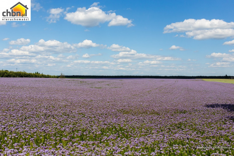 dzialka-pod-rekreacje-w-miejscowosci-sucha-59159-zdjecia.jpg