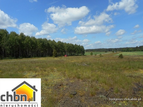dzialka-z-potencjalem-w-malowniczej-okolicy-59204-bydgoszcz-foto.jpg