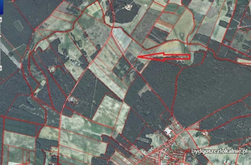 dzialka-z-potencjalem-w-malowniczej-okolicy-59204.jpg
