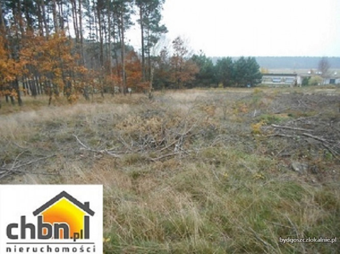 okazja-dzialka-w-czersku-1708-m2-59284-sprzedam.jpg