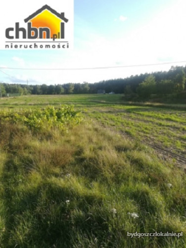 dzialka-budowlana-w-cekcynku-kolo-tucholi-59375-bydgoszcz-foto.jpg