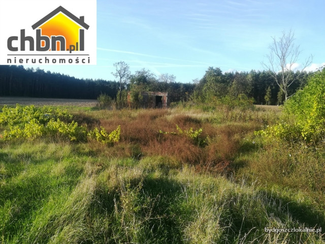 dzialka-budowlana-w-cekcynku-kolo-tucholi-59375-bydgoszcz.jpg