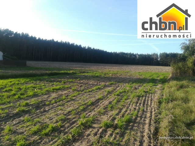 dzialka-budowlana-w-cekcynku-kolo-tucholi-59375-dzialki-i-grunty.jpg