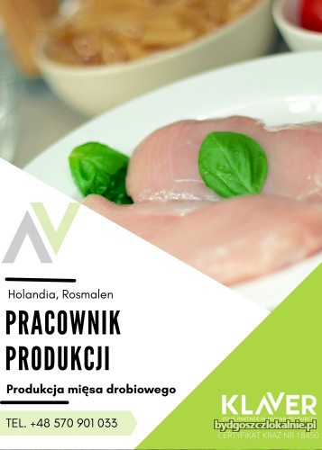praca-przy-pakowaniu-miesa-drobiowego-praca-w-holandii-na-umowie-holenderskiej-59481.jpg