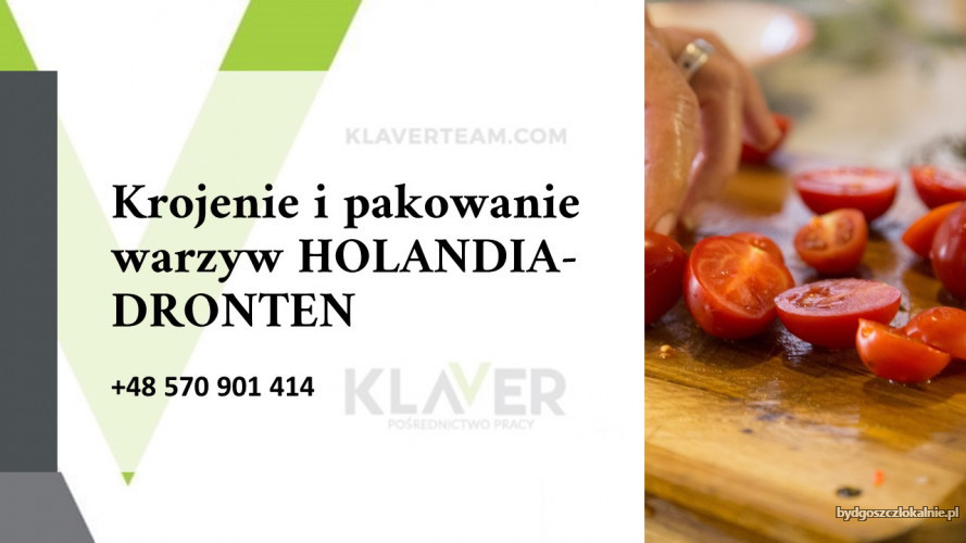 salatki-obiadowe-produkcja-krojenie-i-pakownie-warzyw-holandia-59574.jpg
