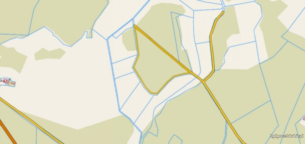 las-422-ha-gmina-brusy-59723-zdjecia.jpg