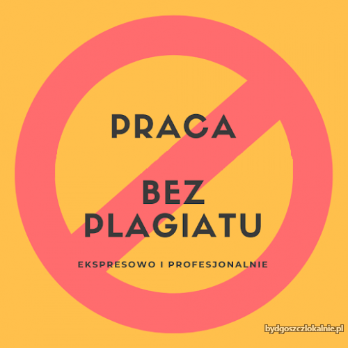 zawodowe-pisanie-i-redagowanie-prac-bez-plagiatu-raport-gratis-59756.jpg