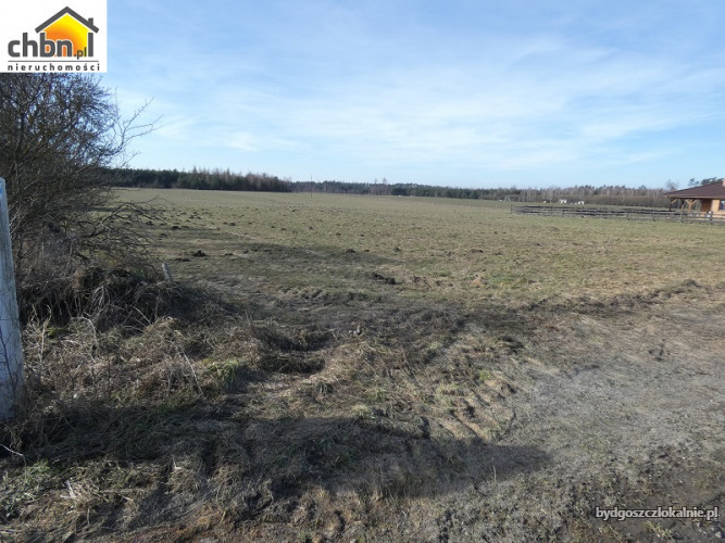 dzialka-posrod-lasow-lutom-59762-bydgoszcz-foto.jpg