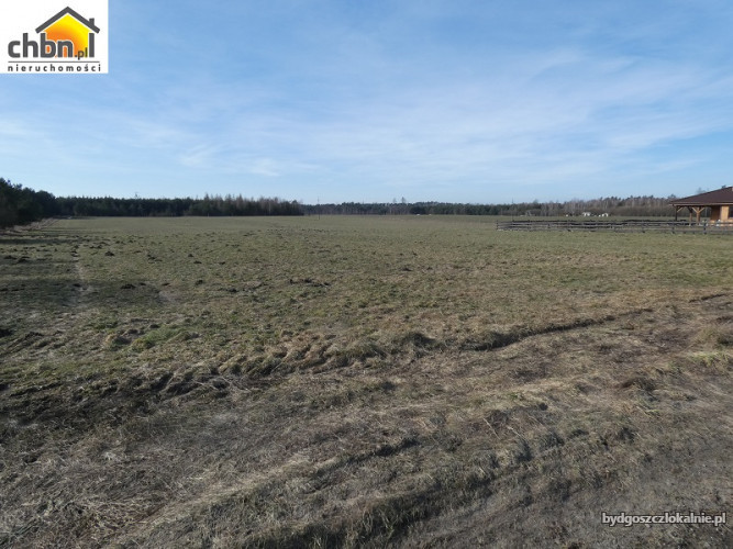 dzialka-posrod-lasow-lutom-59762-sprzedam.jpg