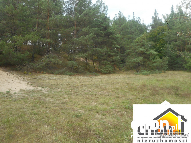 teren-z-duzym-potencjalem-bezposrednio-przy-drodze-krajowej-nr-22-60000-dzialki-i-grunty.jpg