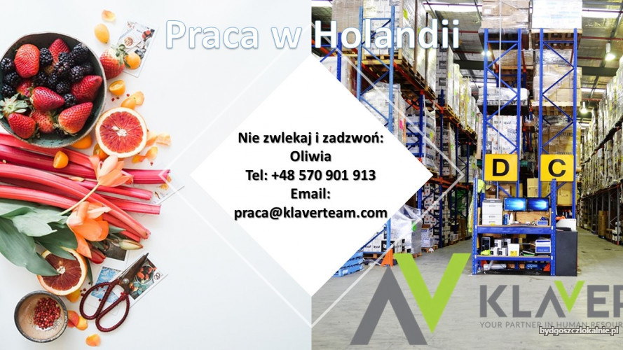 szukasz-pracy-w-holandii-z-duza-iloscia-godzin-zadzwon-60107.jpg