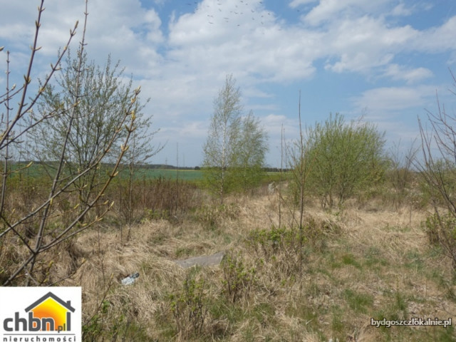dzialka-przy-drodze-krajowej-nr-25-60131-sprzedam.jpg