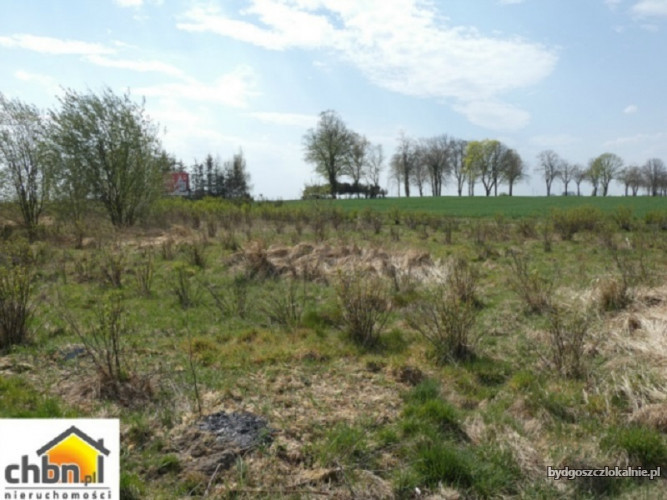 dzialka-przy-drodze-krajowej-nr-25-60131-zdjecia.jpg