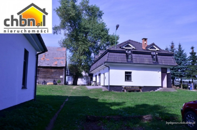 miedzy-cisza-gdzie-drzewa-sie-kolysza-60139-bydgoszcz-foto.jpg