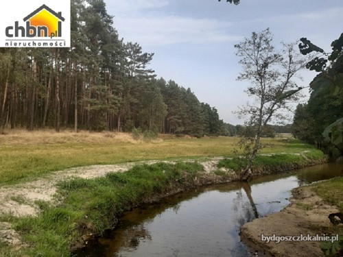 super-cena-dzialka-lesna-z-linia-brzegowa-rzeki-60141-bydgoszcz-do-sprzedania.jpg