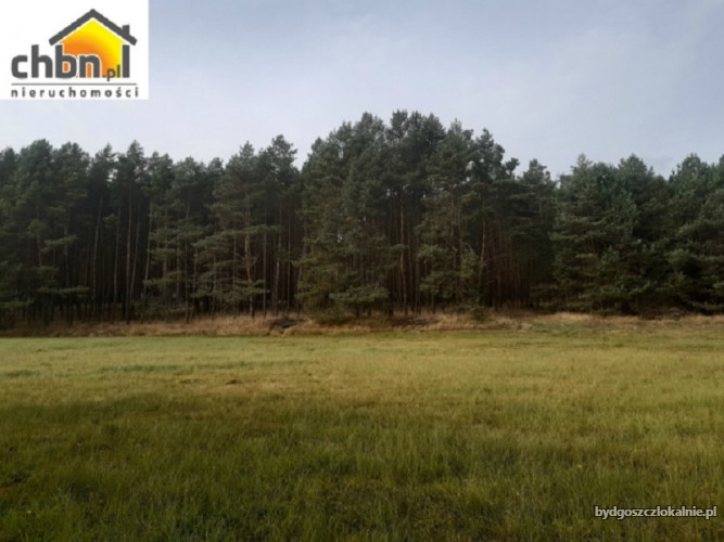 super-cena-dzialka-lesna-z-linia-brzegowa-rzeki-60141-sprzedam.jpg