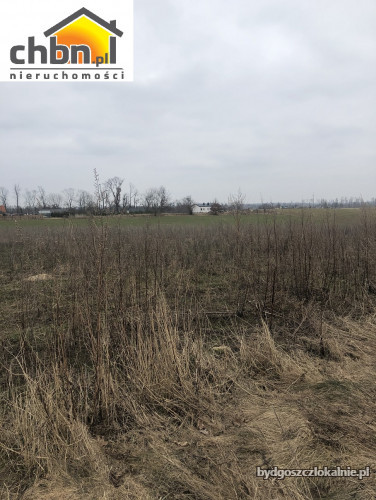 dzialka-lotyn-kolo-chojnic-60158-zdjecia.jpg