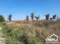 Działka pod budowę domu 1700 m2 Działka pod budowę domu 1700 m2