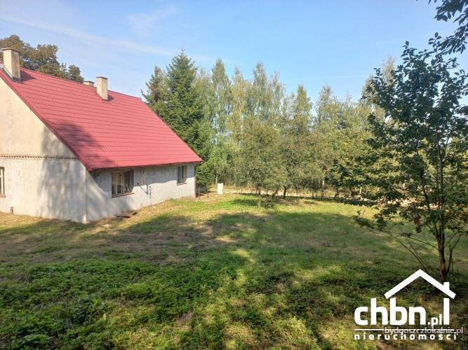 okazja-nieruchomosc-z-wlasnym-lasem-60461-bydgoszcz.jpg