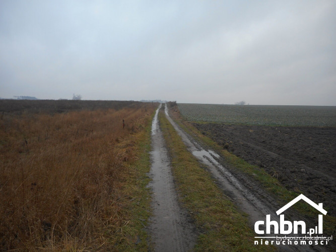dzialki-budowlane-w-wielkim-medromierzu-60621-zdjecia.jpg