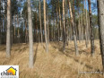 Las 4,22 ha – gmina Brusy! Las 4,22 ha – gmina Brusy!