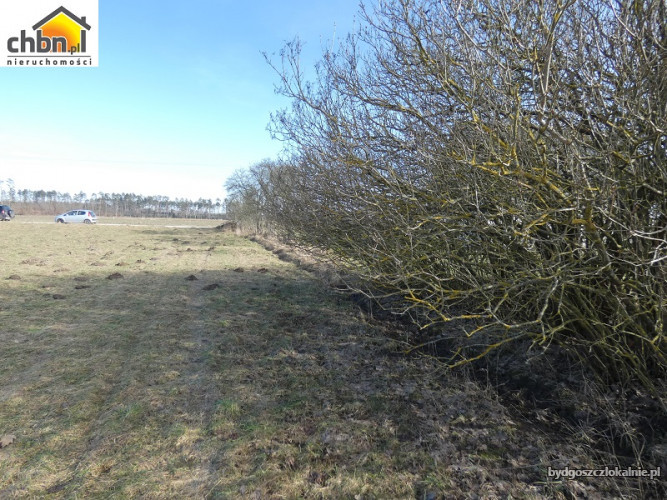 dzialka-posrod-lasow-lutom-60717-bydgoszcz-foto.jpg