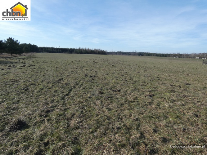 dzialka-posrod-lasow-lutom-60717-bydgoszcz-na-sprzedaz.jpg