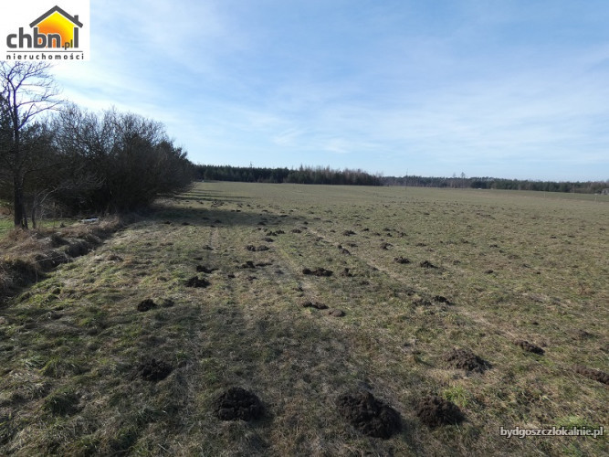 dzialka-posrod-lasow-lutom-60717-zdjecia.jpg