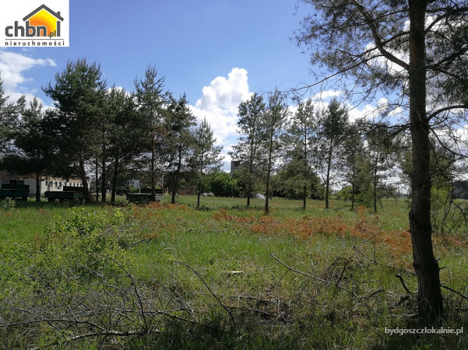 dzialka-pod-rekreacje-w-miejscowosci-sucha-60718-bydgoszcz-do-sprzedania.jpg