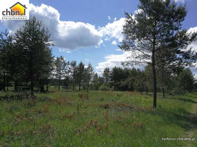 dzialka-pod-rekreacje-w-miejscowosci-sucha-60718-dzialki-i-grunty.jpg