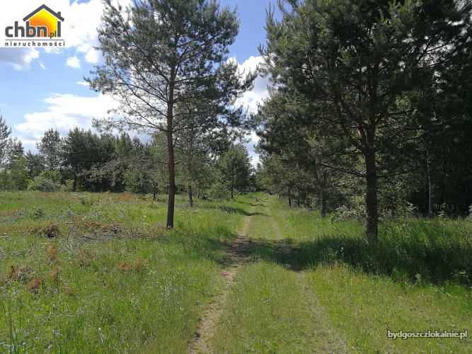 dzialka-pod-rekreacje-w-miejscowosci-sucha-60718-zdjecia.jpg