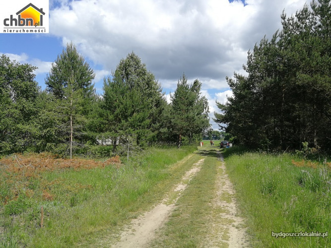 dzialka-pod-rekreacje-w-miejscowosci-sucha-60718.jpg