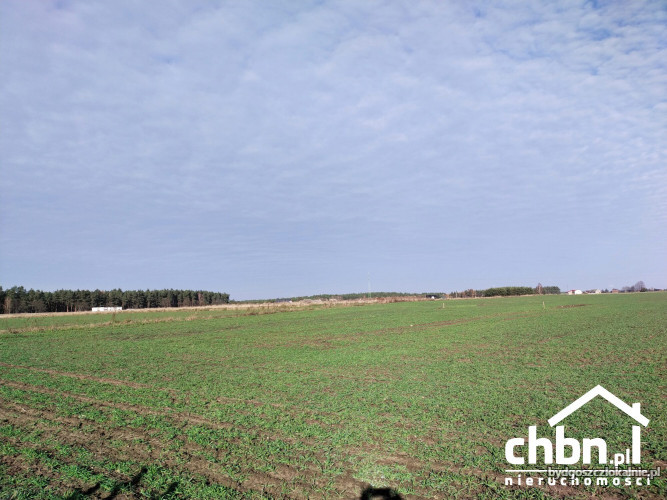dzialki-budowlane-w-malowniczej-okolicy-60739-sprzedam.jpg