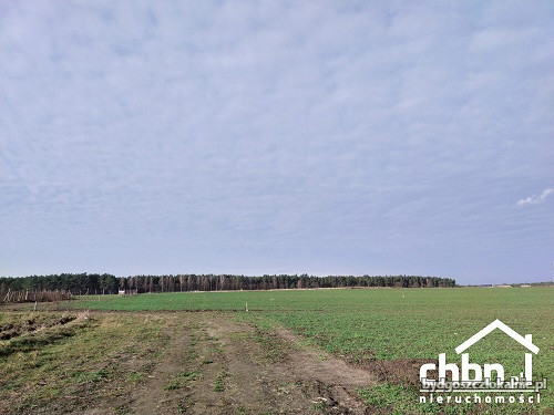 zamieszkaj-w-borach-tucholskich-60741-bydgoszcz.jpg