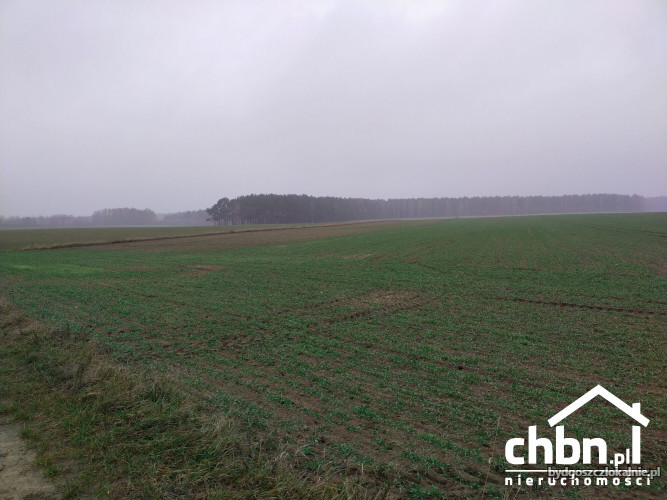 ziemia-rolna-w-okolicach-chojnic-881-ha-60744-bydgoszcz-do-sprzedania.jpg